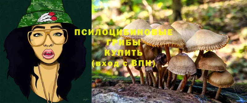 Галлюциногенные грибы Psilocybe  Зея 